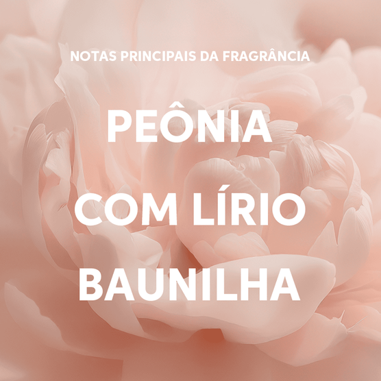 Kit Wella Professionals Oil Reflections Duo